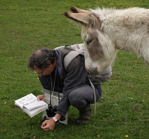 Botanist and donkey