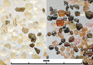 Scans of beach sand grains