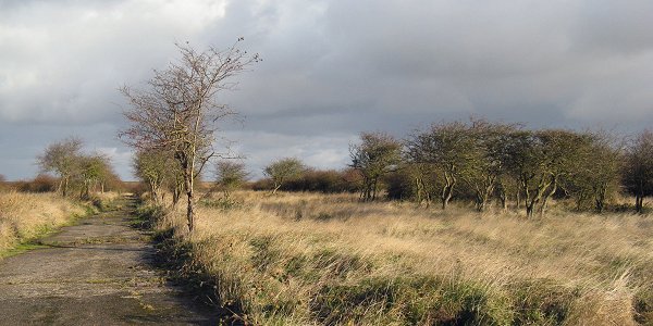 View of site