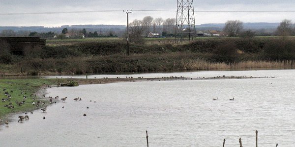 View of Watton Nature Reserve