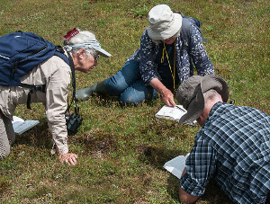 a botanical field meeting