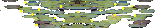 animation
